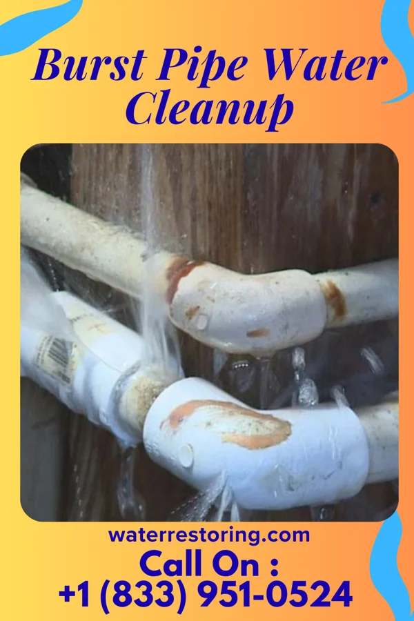 Burst Pipe Water Cleanup in Sandusky, OH