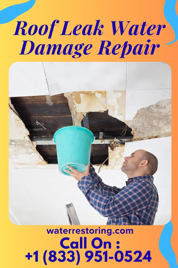 Roof Leak Water Damage Repair in Sandusky, OH